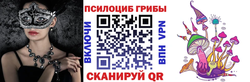 Псилоцибиновые грибы Psilocybine cubensis  Добрянка 
